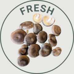 Fresh Shiitake Mushrooms